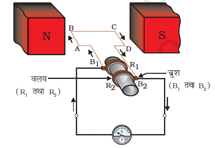 विद्युत जनित्र (Electrical Generator) -Class-10 Science Chapter 13 विद्युत धारा के चुंबकीय प्रभाव