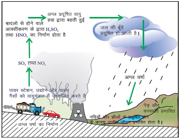 अम्लीय वर्षा (Acid Rain): प्राकृतिक संपदा